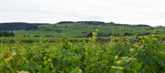 Les Frémiers